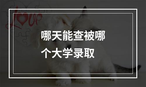 哪天能查被哪个大学录取