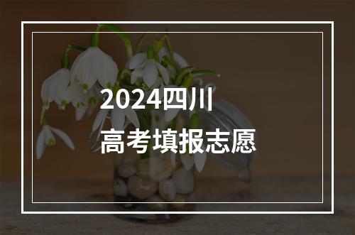 2024四川高考填报志愿