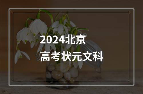 2024北京高考状元文科