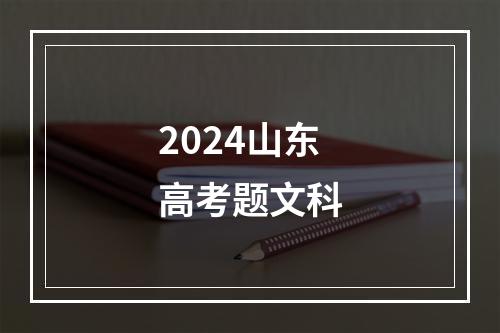 2024山东高考题文科