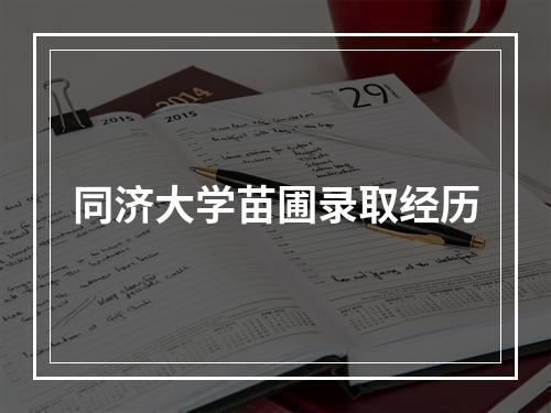 同济大学苗圃录取经历