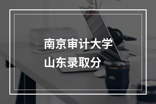 南京审计大学山东录取分