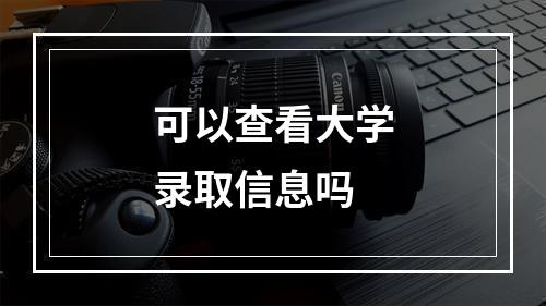 可以查看大学录取信息吗