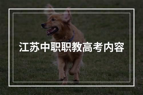 江苏中职职教高考内容