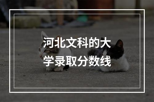 河北文科的大学录取分数线