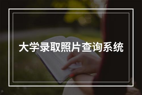 大学录取照片查询系统