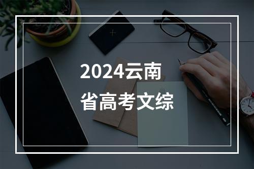 2024云南省高考文综