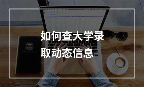 如何查大学录取动态信息