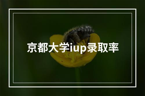 京都大学iup录取率