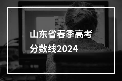 山东省春季高考分数线2024