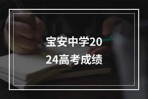 宝安中学2024高考成绩