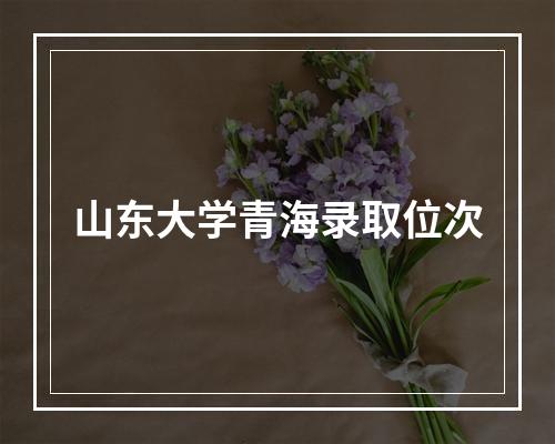 山东大学青海录取位次