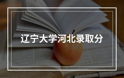 辽宁大学河北录取分