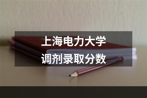 上海电力大学调剂录取分数