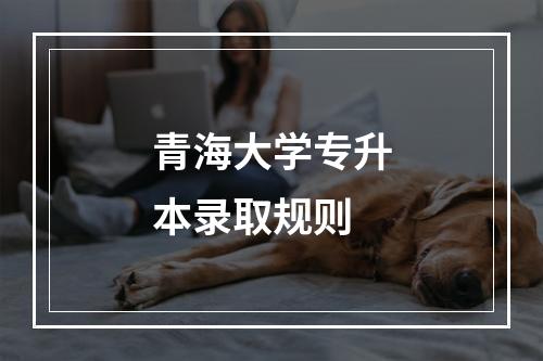 青海大学专升本录取规则