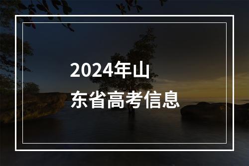 2024年山东省高考信息