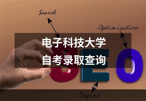 电子科技大学自考录取查询