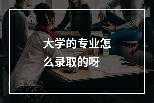 大学的专业怎么录取的呀