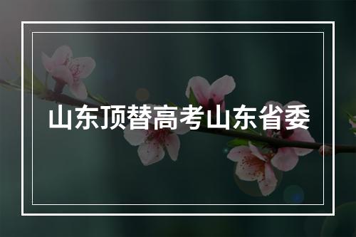 山东顶替高考山东省委