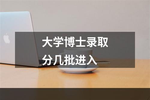 大学博士录取分几批进入