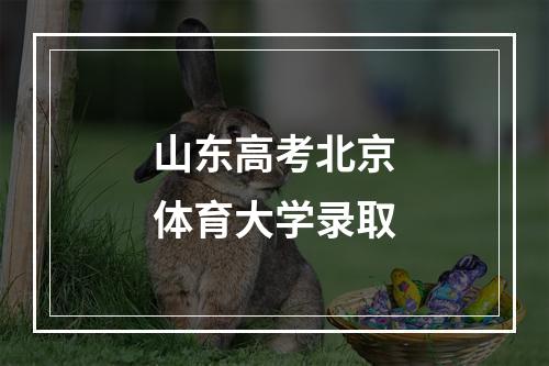 山东高考北京体育大学录取