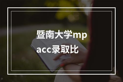 暨南大学mpacc录取比