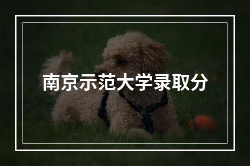 南京示范大学录取分