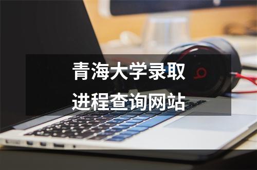 青海大学录取进程查询网站