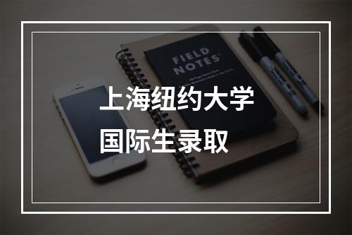 上海纽约大学国际生录取