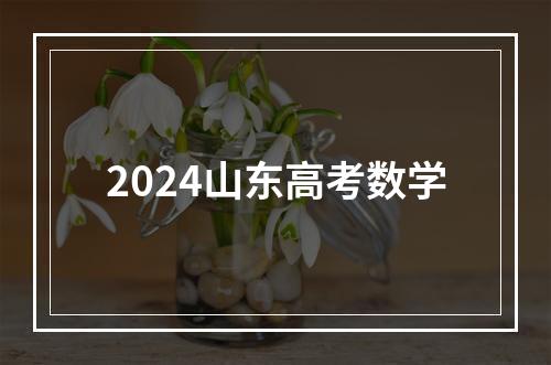 2024山东高考数学