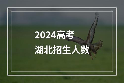 2024高考湖北招生人数