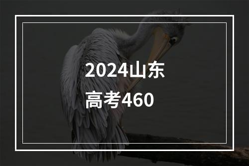 2024山东高考460