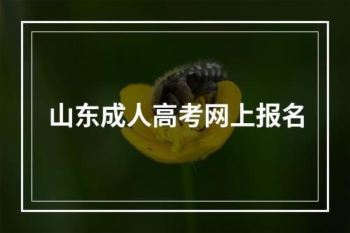 山东成人高考网上报名