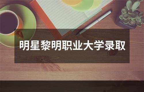 明星黎明职业大学录取