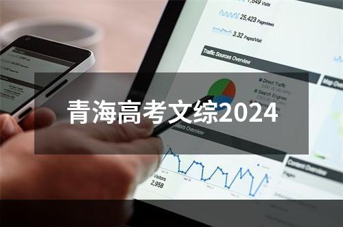 青海高考文综2024