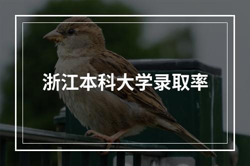 浙江本科大学录取率