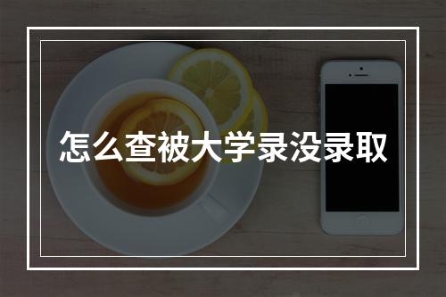 怎么查被大学录没录取