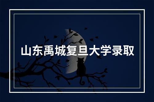 山东禹城复旦大学录取