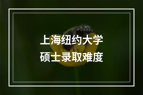 上海纽约大学硕士录取难度