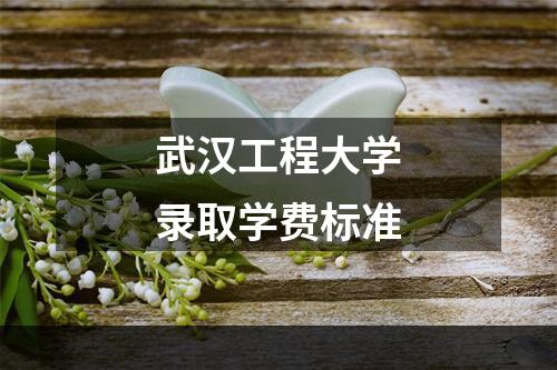 武汉工程大学录取学费标准