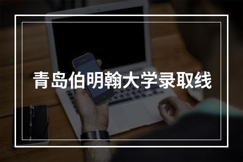 青岛伯明翰大学录取线