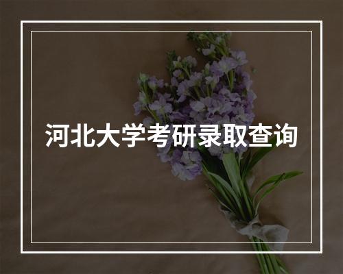 河北大学考研录取查询