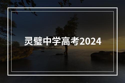 灵璧中学高考2024