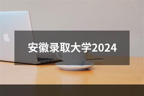 安徽录取大学2024