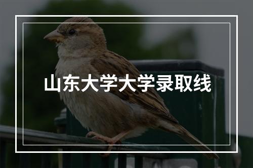 山东大学大学录取线