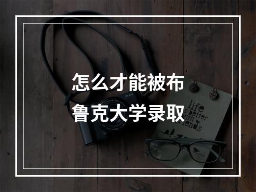 怎么才能被布鲁克大学录取