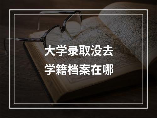 大学录取没去学籍档案在哪