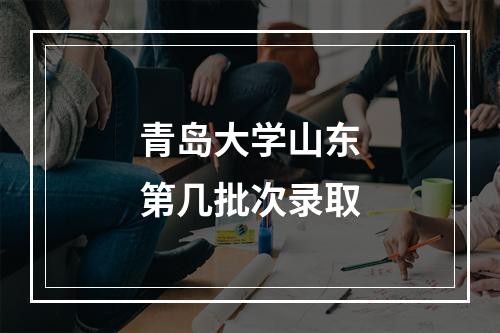 青岛大学山东第几批次录取