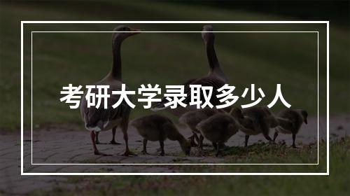 考研大学录取多少人