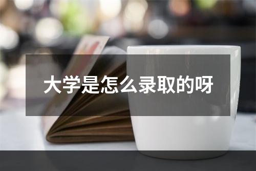 大学是怎么录取的呀